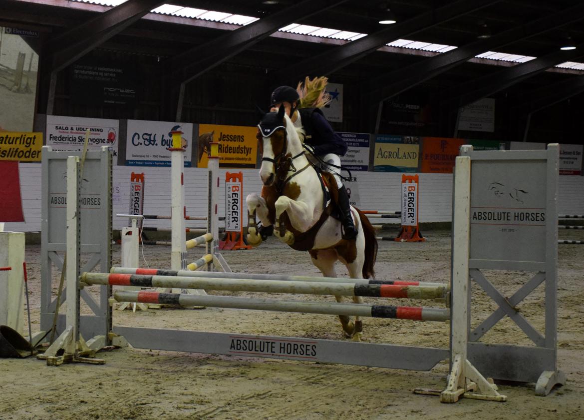 Tysk Sportspony Schirin 2(Sisse) - Første c-stævne FSRK(LC). billede 5