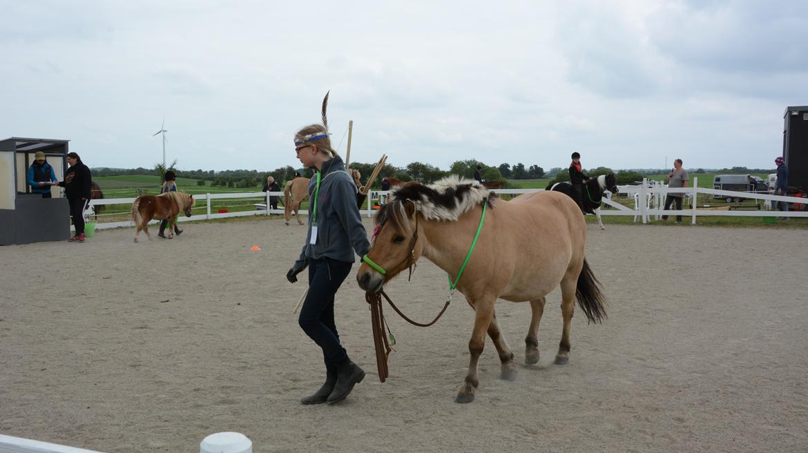 Anden særlig race Melvin - Mig og Melvin på Junior Camp, Hestevelfaerd 2014 billede 18