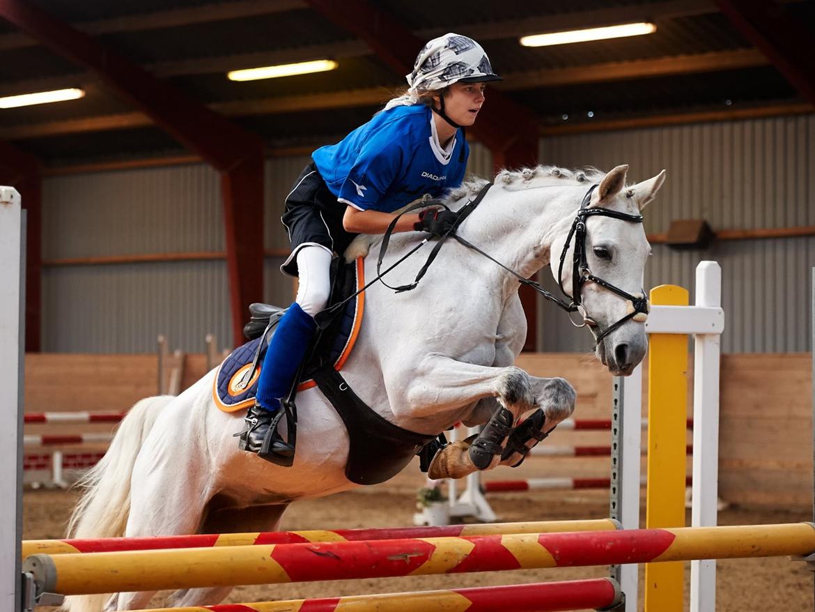 Welsh Partbred (Sec F) Ballettens Silent Victory - Mig og Silent på SLR billede 2