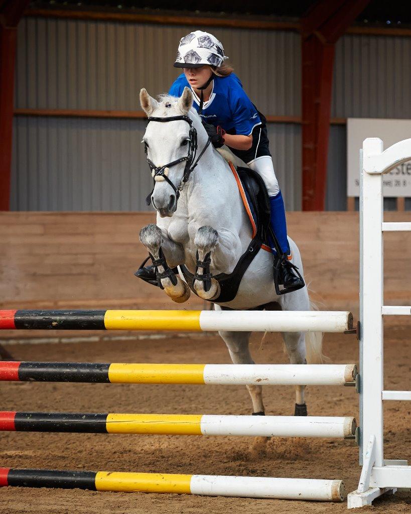 Welsh Partbred (Sec F) Ballettens Silent Victory - Mig og Silent på SLR billede 4