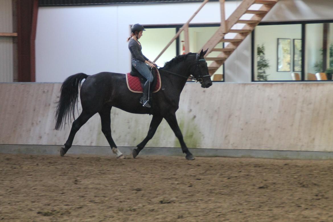 Oldenborg Ikaros billede 6