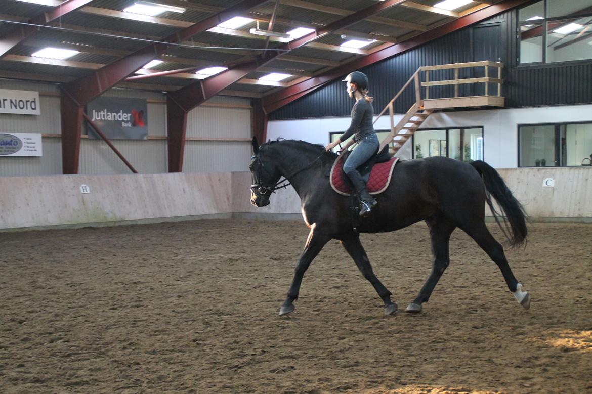 Oldenborg Ikaros billede 7