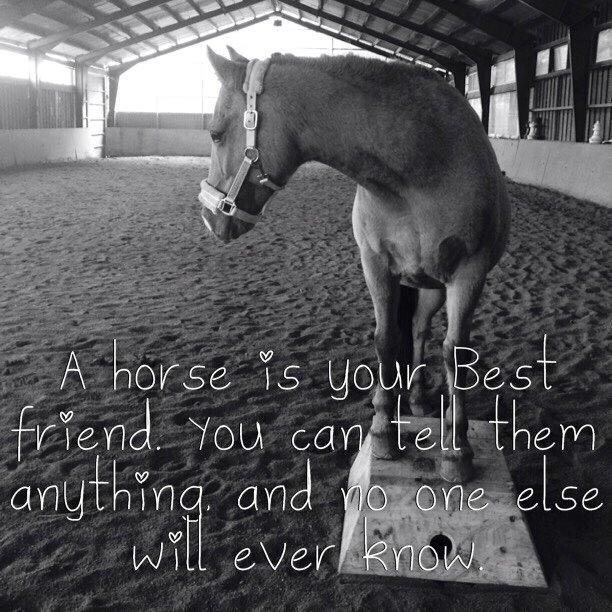 Anden særlig race Shamrocks Lotte billede 8