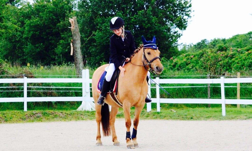 Anden særlig race Shamrocks Lotte billede 9