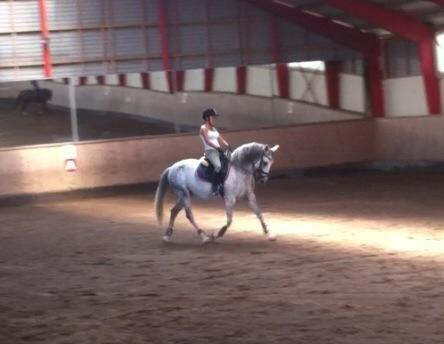 Andalusier Romera billede 8