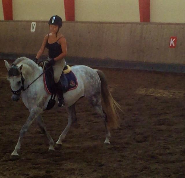 Andalusier Romera billede 5
