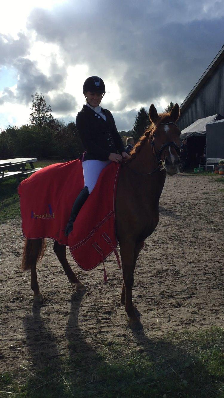 Anden særlig race Lundgaard's Tullamore billede 1