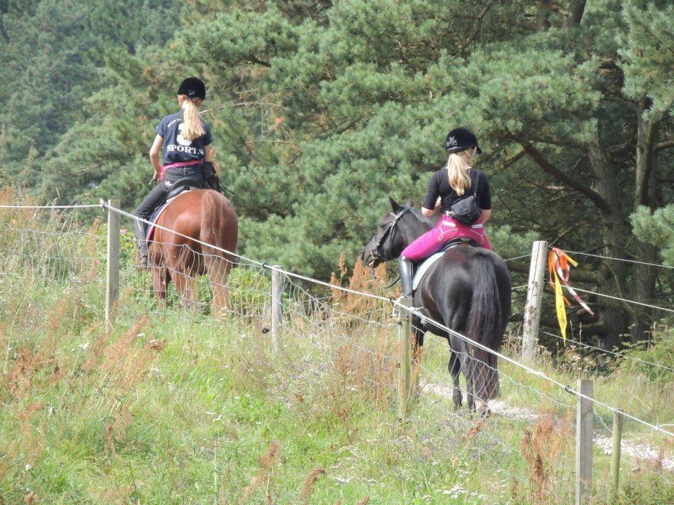 Welsh Pony (sec B) Charles - Langdistance 10 km.  Mols bjerge. billede 18