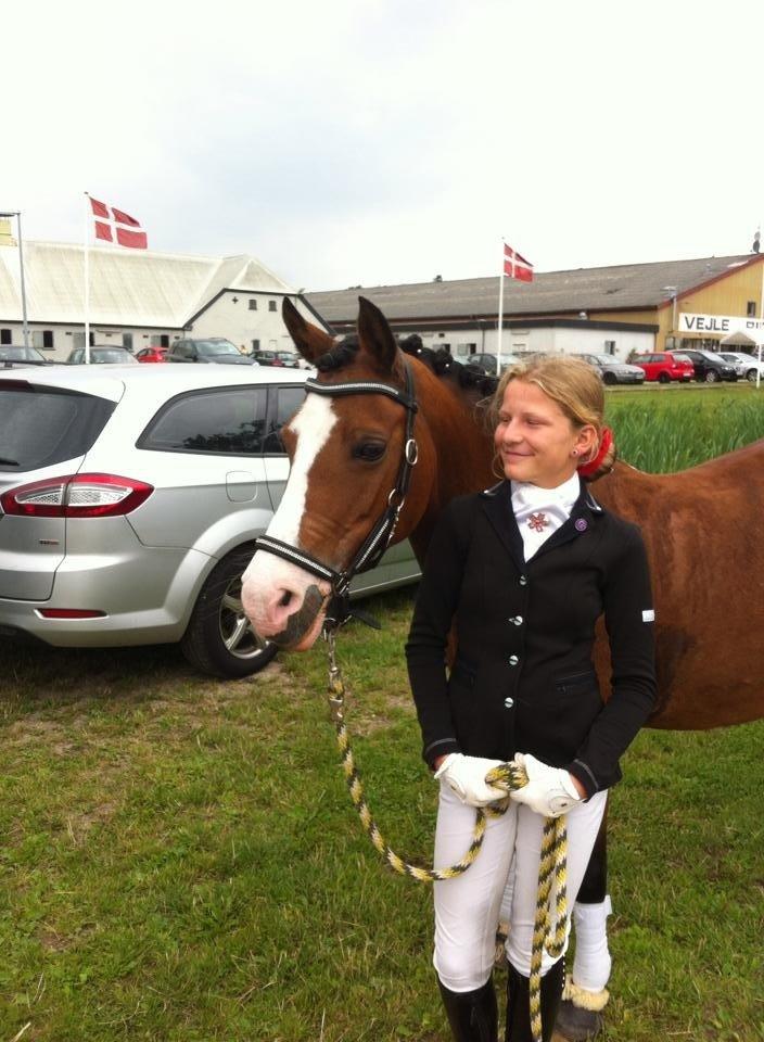 Anden særlig race Millenium Star - Første stævne. 2014 billede 9