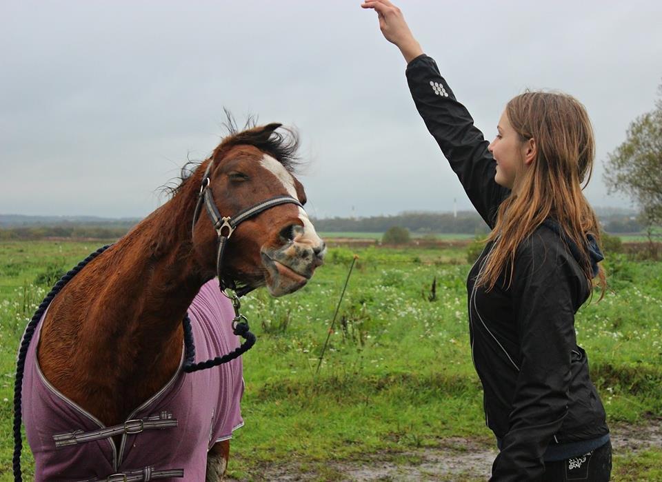 Anden særlig race Hesdalskærs Victoria <3 billede 16