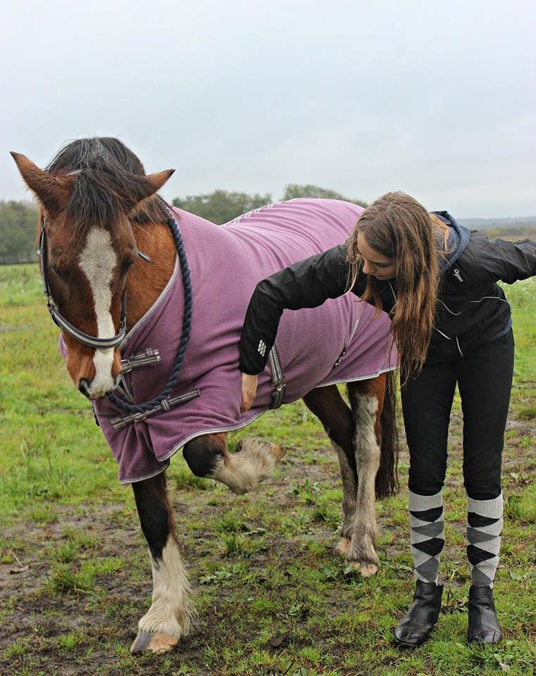 Anden særlig race Hesdalskærs Victoria <3 billede 18