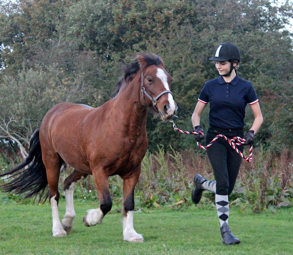 Anden særlig race Hesdalskærs Victoria <3 billede 19