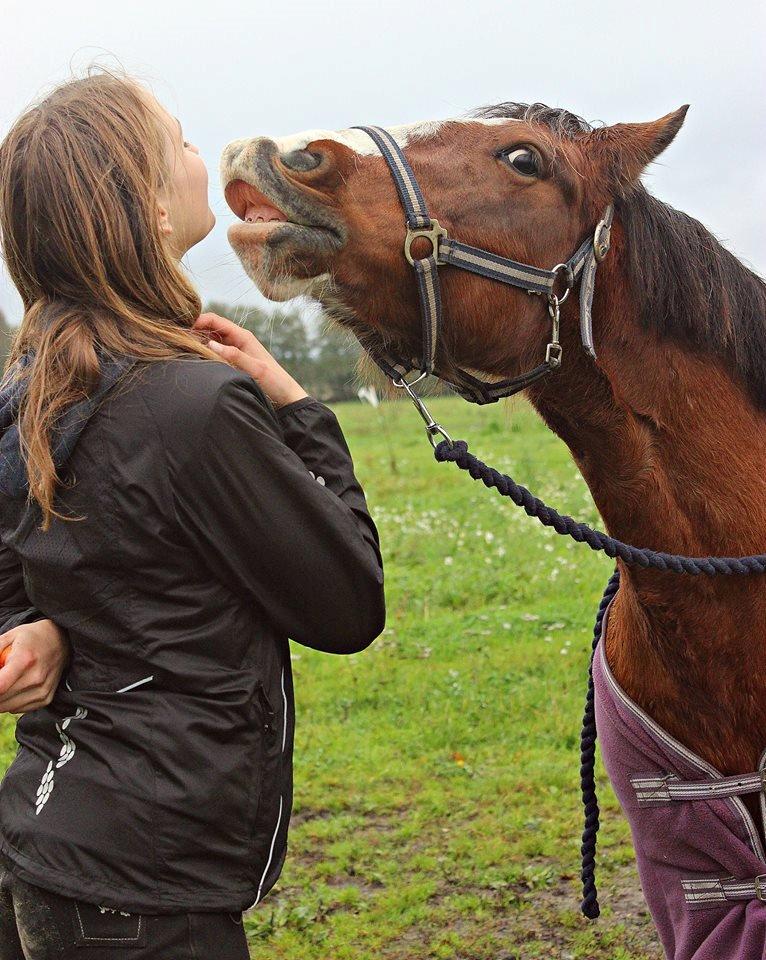 Anden særlig race Hesdalskærs Victoria <3 billede 20