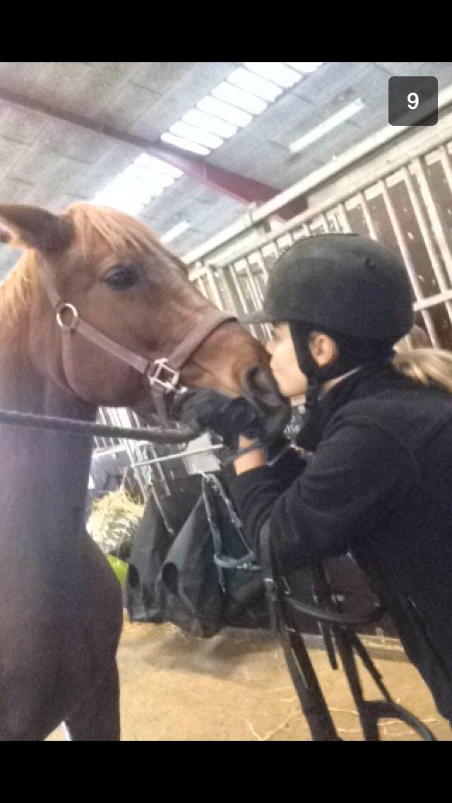 Anden særlig race Emma billede 10