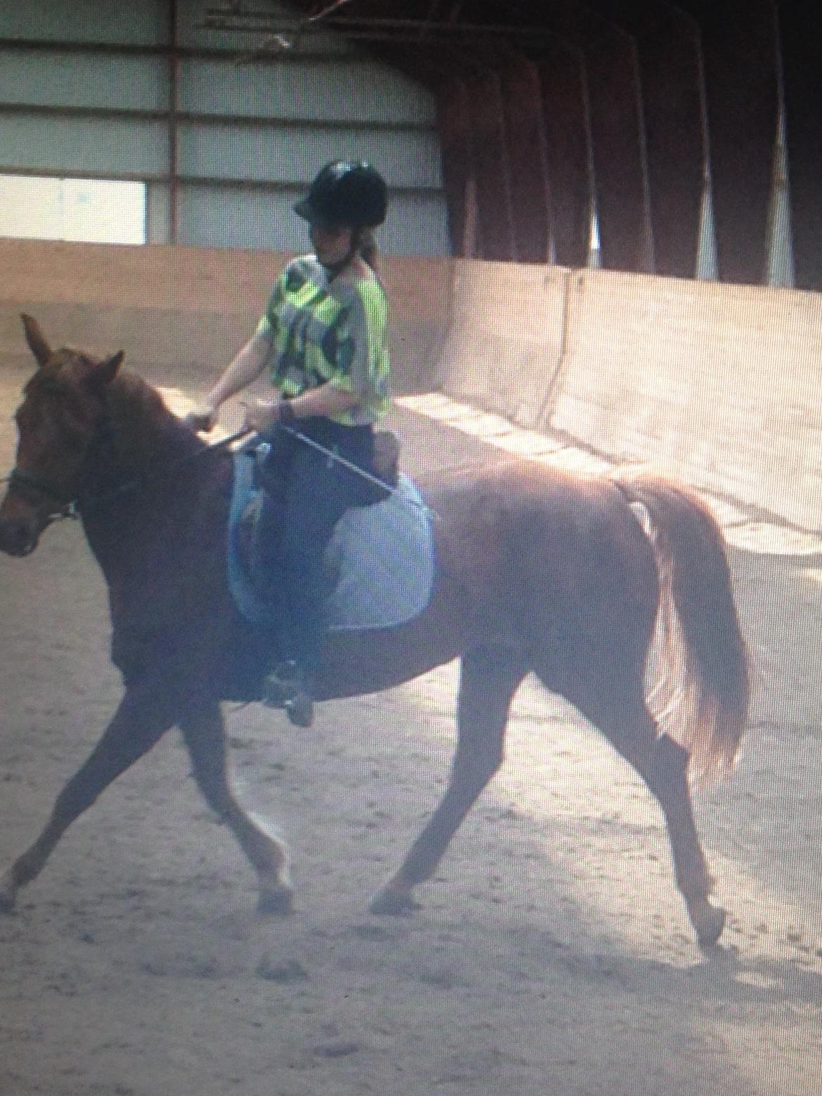 Anden særlig race Emma billede 11