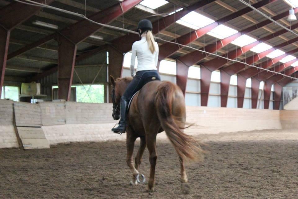 Anden særlig race Emma billede 15