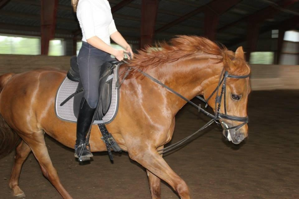 Anden særlig race Emma billede 16