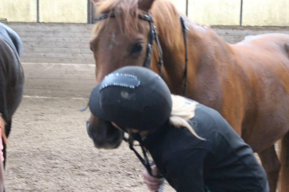 Anden særlig race Emma billede 17