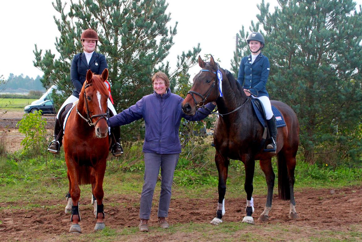 Dansk Varmblod Cille - 2. plads i LC billede 6