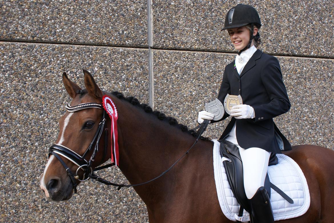 DSP Røgild's Bastian - DSP stævne Randers Bronze og Sølv 2014 billede 11