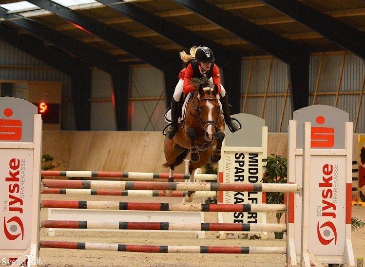 Dansk Varmblod VERONA HS - Hedensted Rideklub LB2** 110 cm billede 12