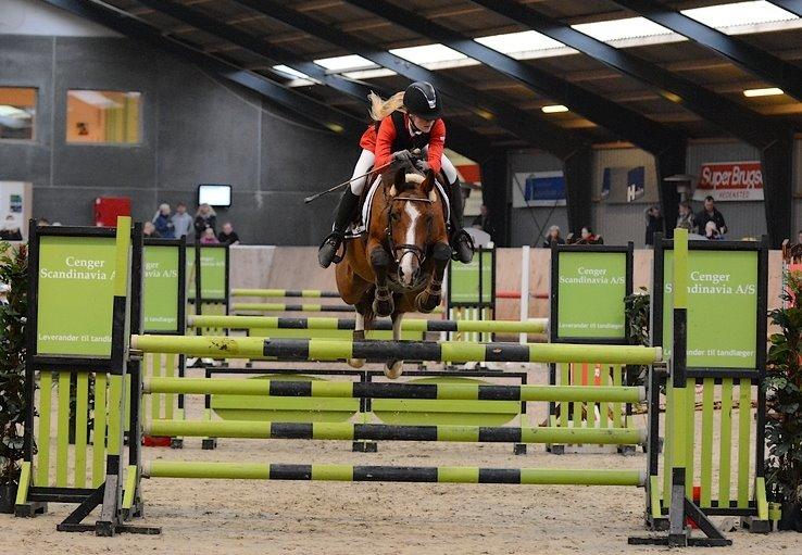 Dansk Varmblod VERONA HS - Hedensted Rideklub LA1* 115 cm billede 18