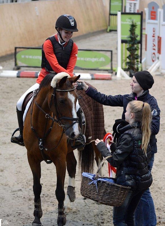 Dansk Varmblod VERONA HS - Hedensted Rideklub LB2** 110 cm 1. plads billede 19