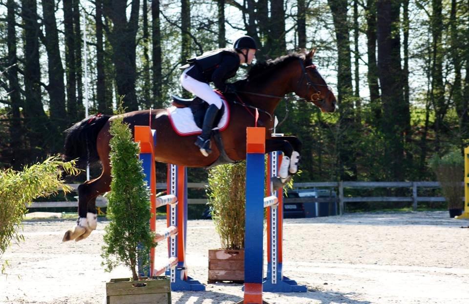 Dansk Varmblod Lillelunds Manja - LB** 115 cm Riders cup 2014 billede 20