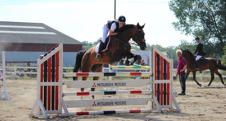 Dansk Varmblod Lillelunds Manja - LA Vosk 2014 120 billede 19