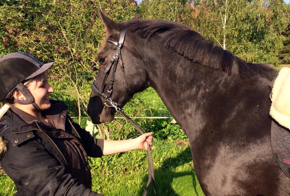 Oldenborg Sweet Alpha - Himmelhest billede 8