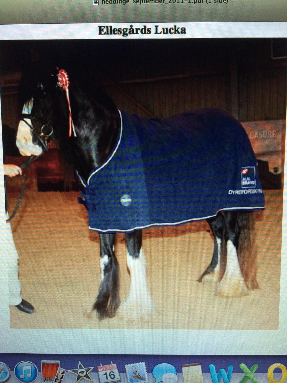 Tinker Ellegårds Lucka billede 9