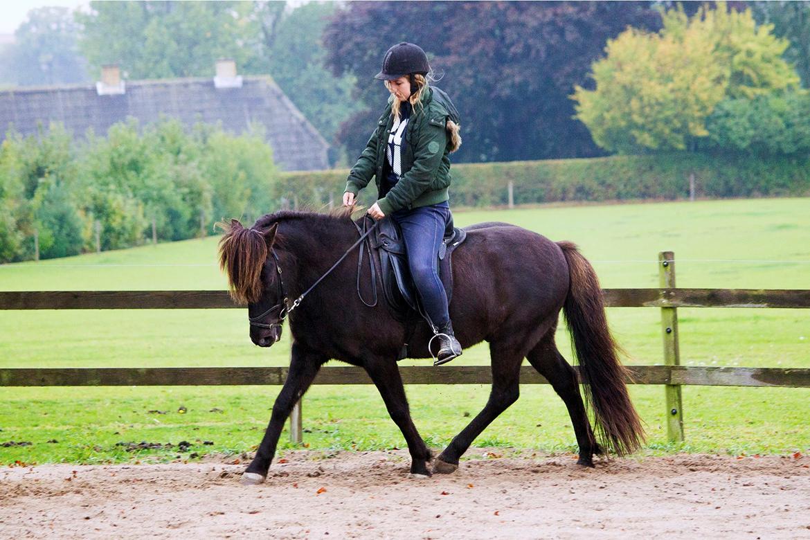 Islænder Ganti billede 8