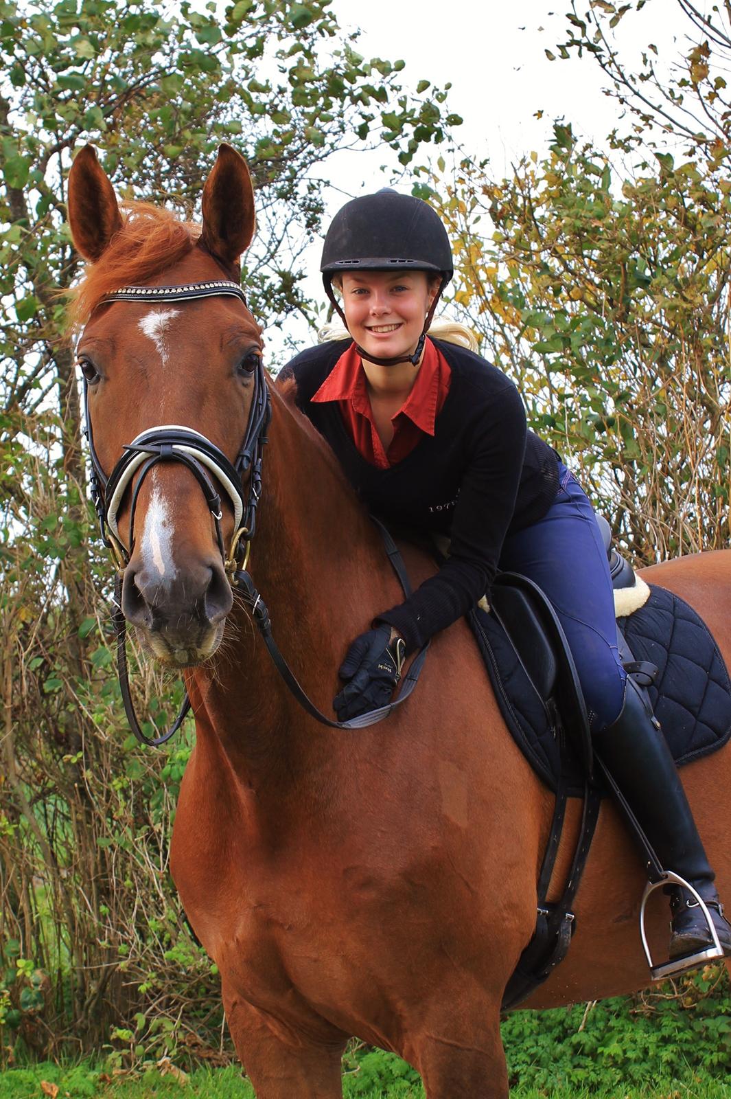 Dansk Varmblod Revaldo D.  billede 32