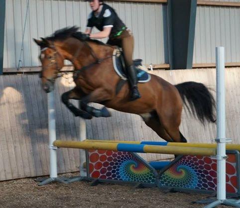 Anden særlig race Arcibald - Efterskole det kan vi li'  billede 6