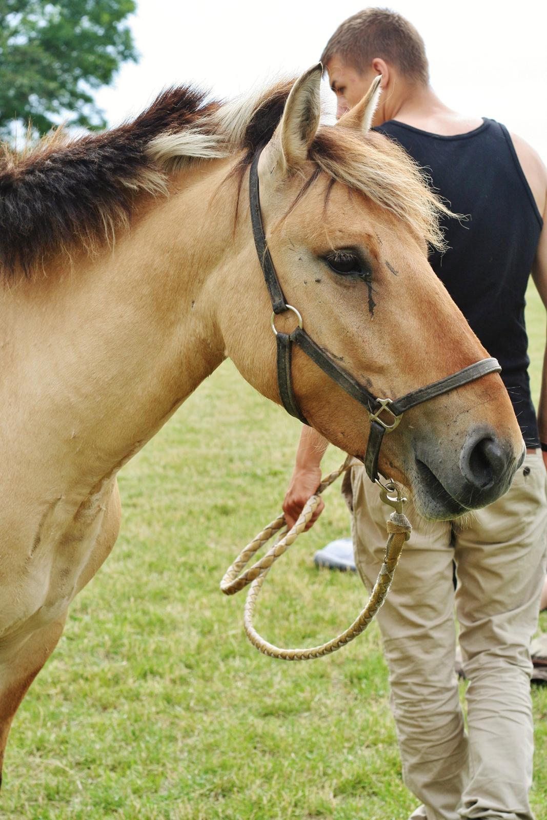 Anden særlig race Sexy Lover - Da jeg fik ham hjem igen <3 billede 21