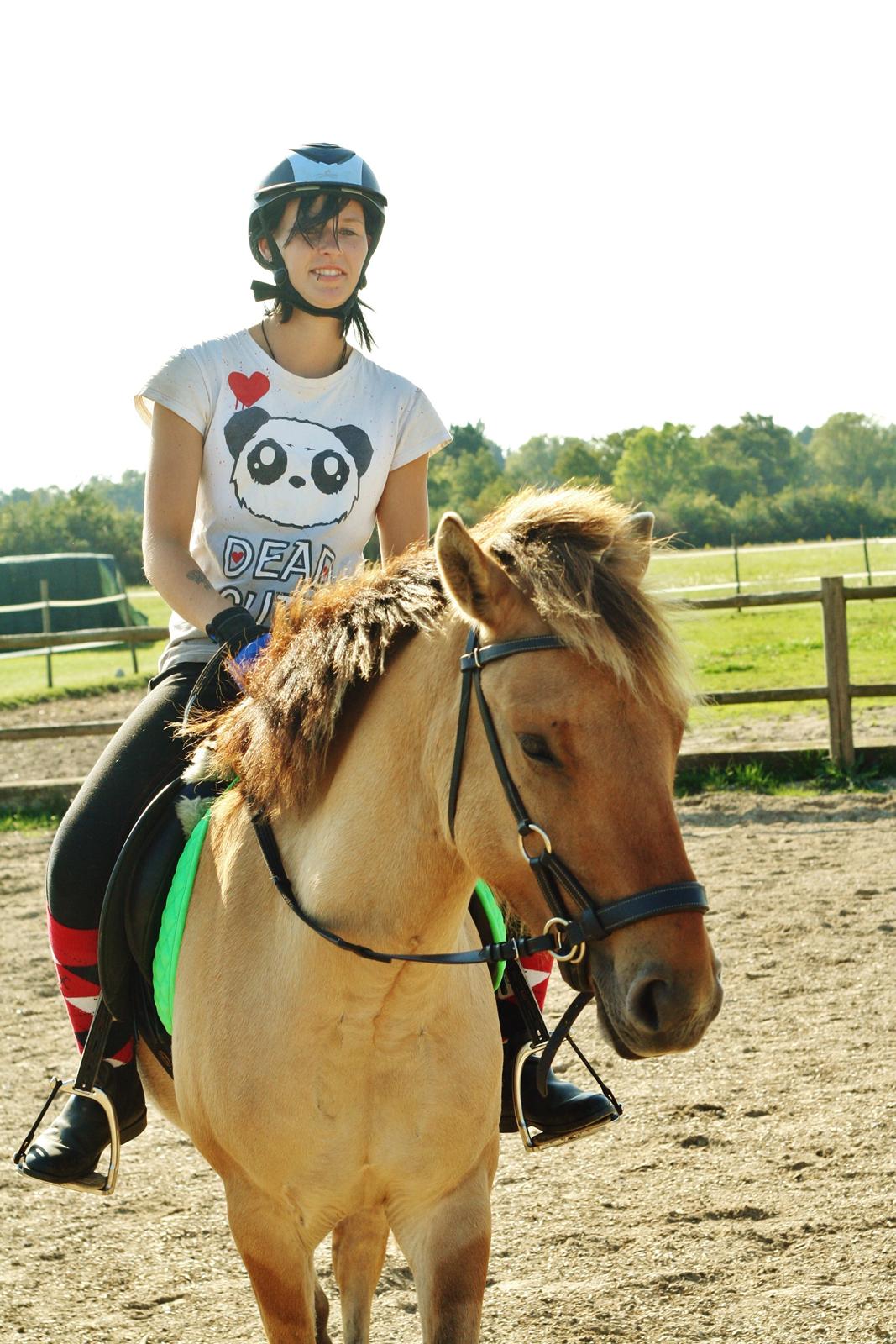 Anden særlig race Sexy Lover - jep vi rider bidløst billede 24