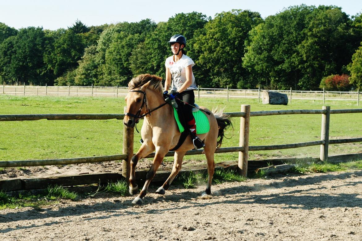 Anden særlig race Sexy Lover - Weee galop! billede 25