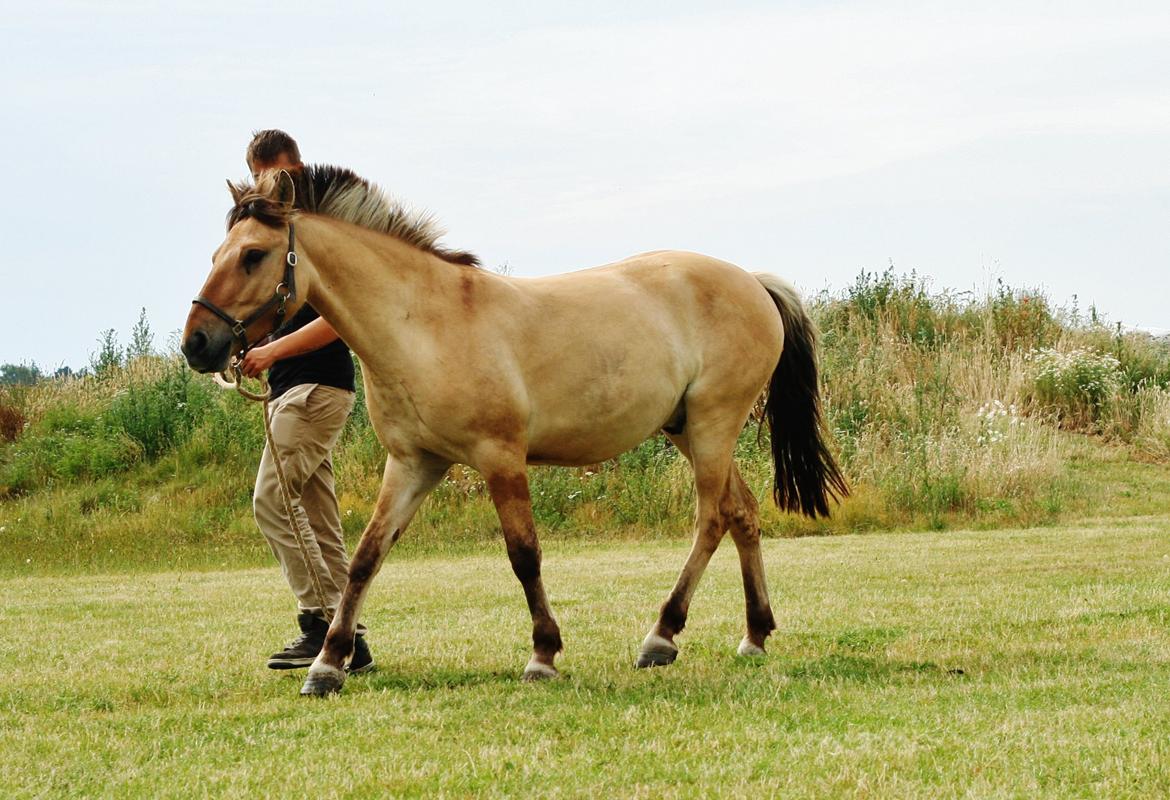 Anden særlig race Sexy Lover - Lige kommet hjem igen efter 1 år <3 billede 22