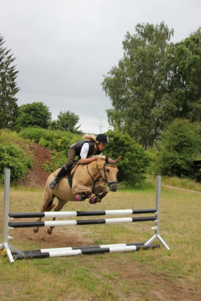Anden særlig race Daisy (Østerlund's Rumkugle) - Hej og velkommen!<3 billede 1