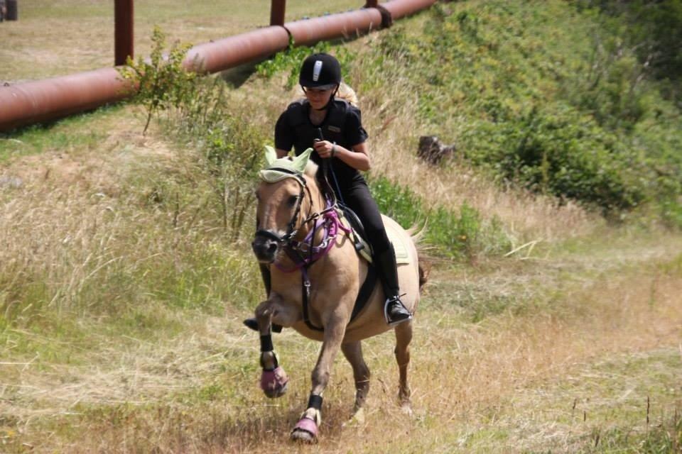 Anden særlig race Daisy (Østerlund's Rumkugle) billede 3