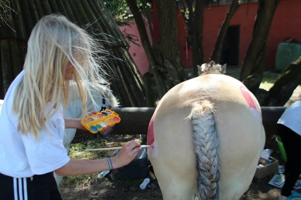 Anden særlig race Daisy (Østerlund's Rumkugle) - Står og maler nissehuer på hende :)) <3 billede 8
