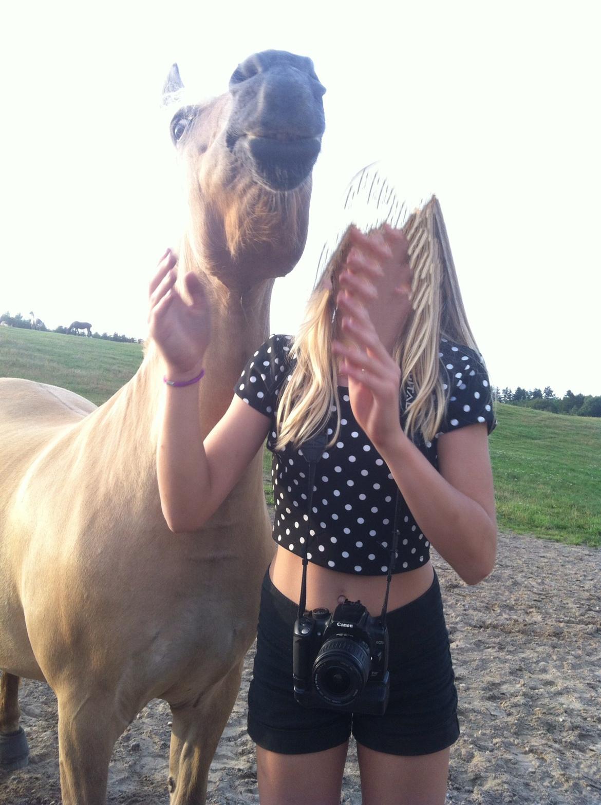 Anden særlig race Daisy (Østerlund's Rumkugle) - Tak for kigget, smid gerne en kommentar:) Lige et billede hvor Daisy ligner en lama<3 billede 15