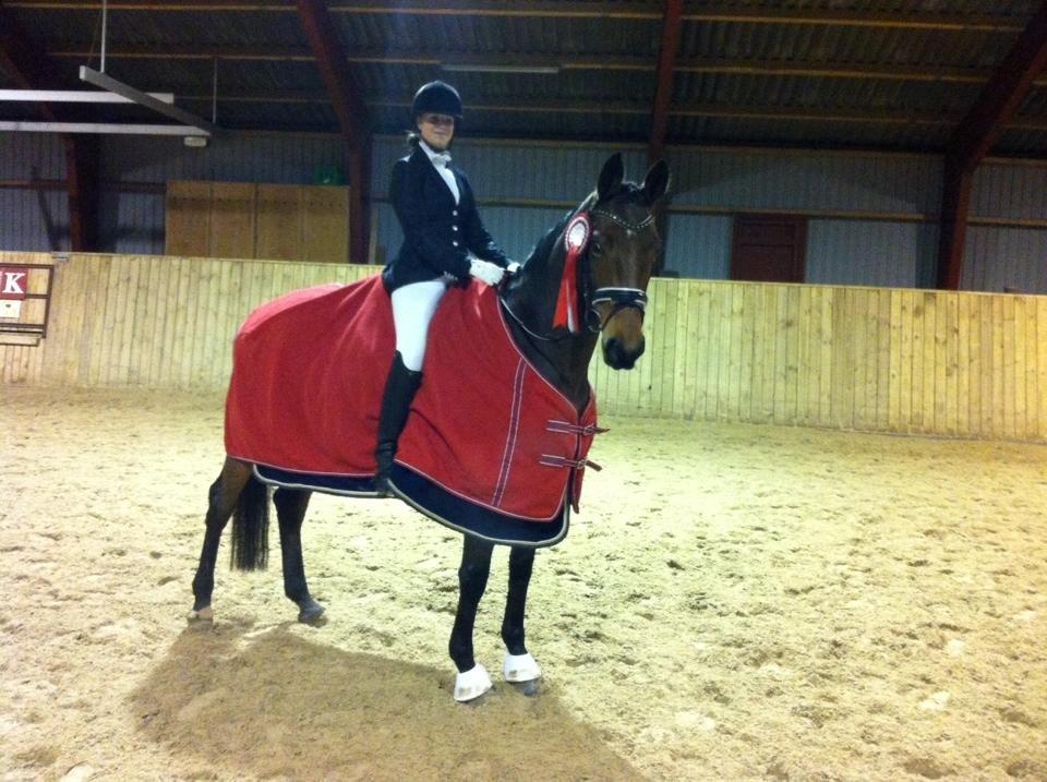 Dansk Varmblod Tikka Lotus - Klubmester i HRV 2013 - 73,9% LA4 billede 20
