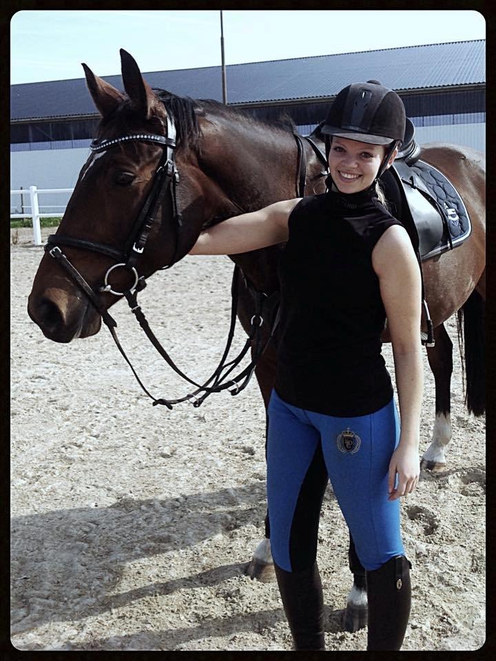 Dansk Varmblod Mister Hot Chocolate Fudge (Lillebror) billede 19