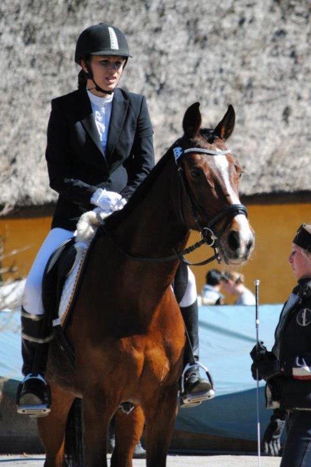 Dansk Varmblod Fantasy [Tidl. part] billede 18