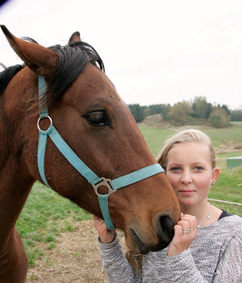 Anden særlig race Darling  billede 10