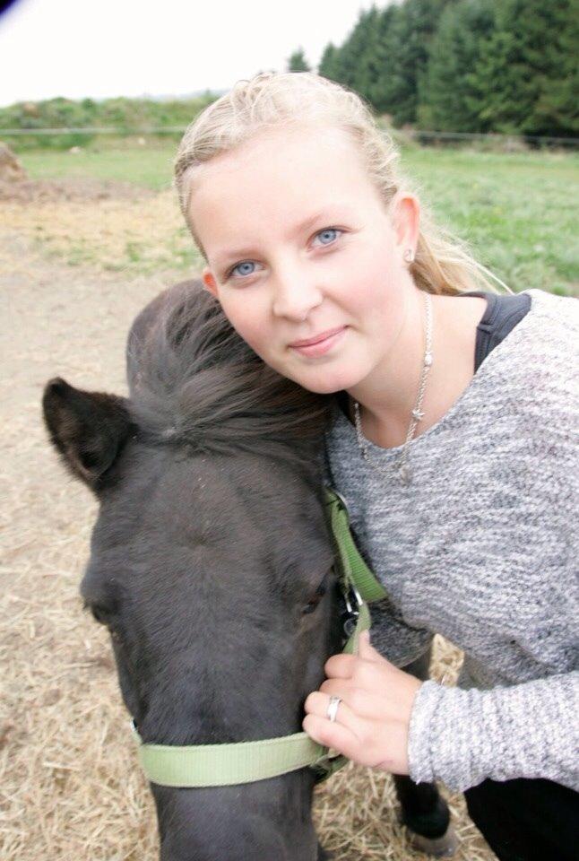 Shetlænder Mulle.  billede 2