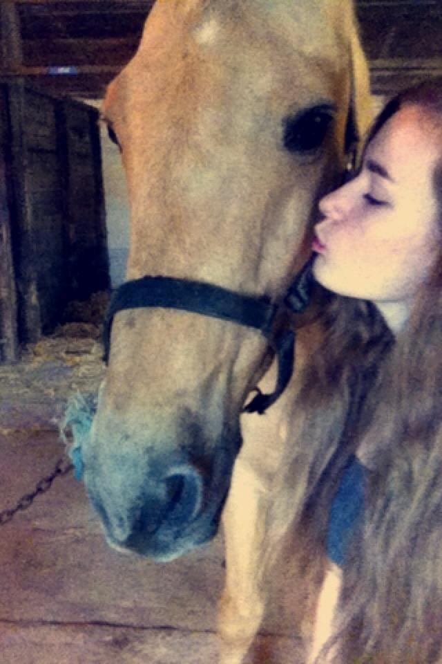 Palomino Amaretto - Min sidste gang sammen med Amaretto..<3 R.I.P billede 12