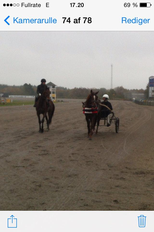 Traver Magic frazer - magic og pernille   til træning sammen billede 11