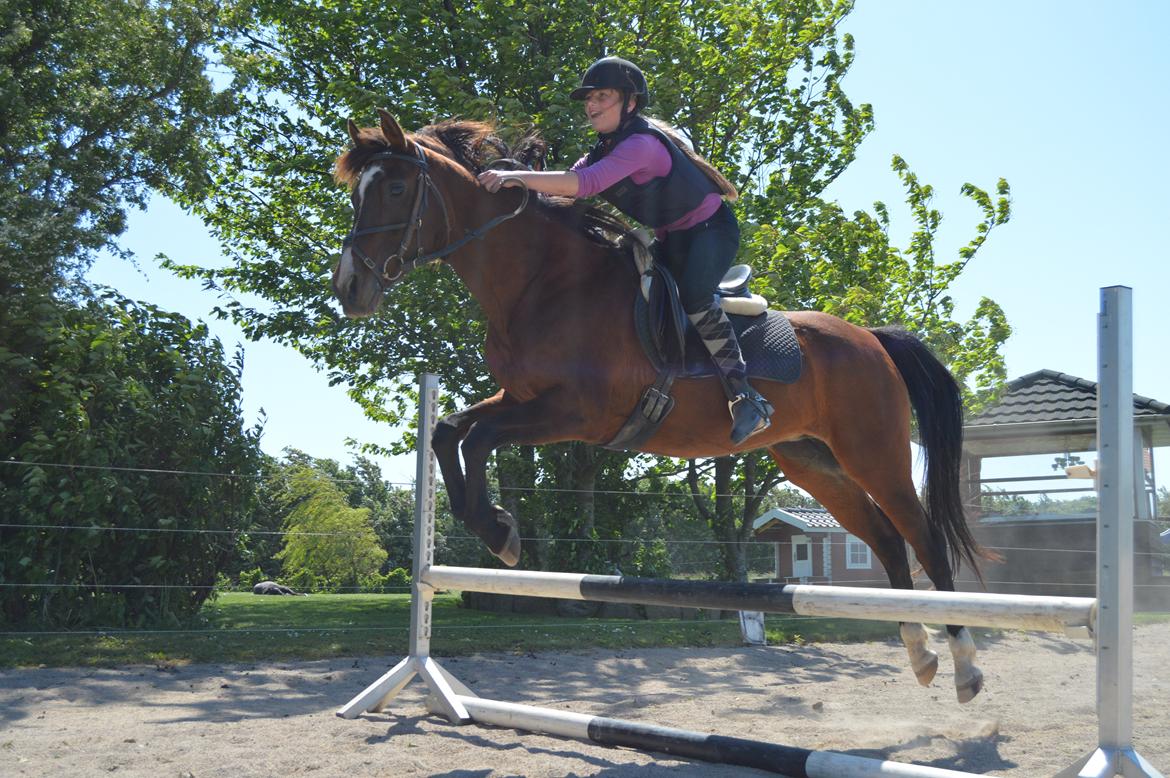 Arabisk fuldblod (OX) Granata - we can fly<333 billede 4